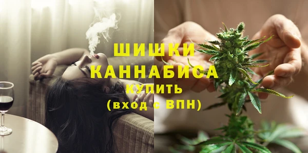 гидропоника Богородск