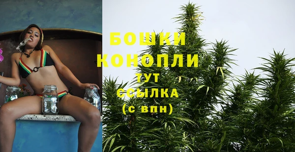 стаф Богданович