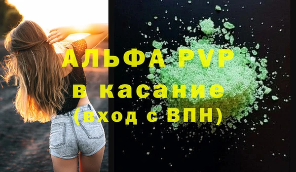 стаф Богданович